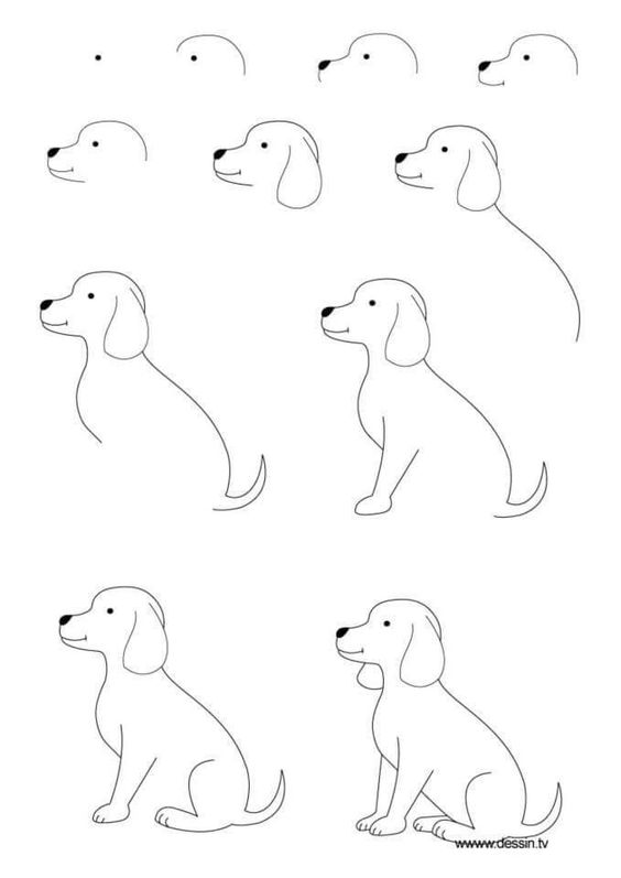 cách vẽ con chó  các bài viết về cách vẽ con chó tin tức cách vẽ con chó