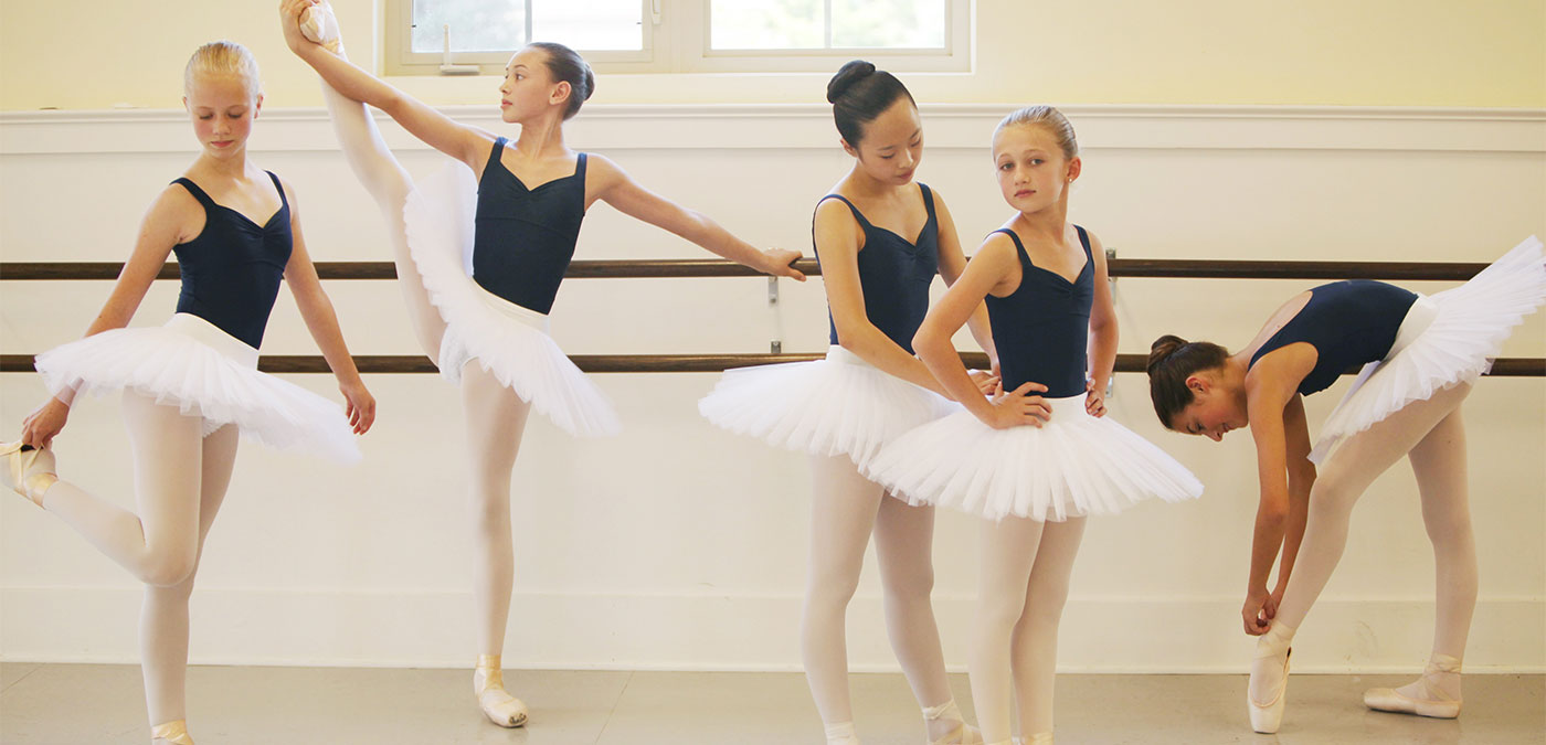 lilac chuyên nghiệp ba lê tutu dành cho người lớn sân khấu hoặc cạnh tranh  xếp li tutus ballerina dance trang phục bll081-2| Alibaba.com