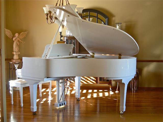Tư vấn cách chọn đàn piano dành cho trẻ em - hình ảnh 2
