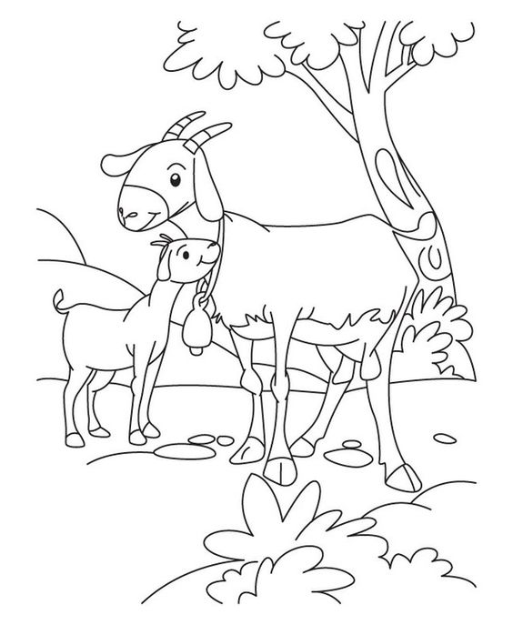 Hình mẫu cho bé tập vẽ con vật đơn giản hình ảnh 22