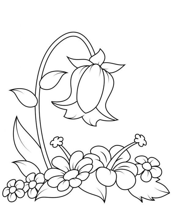 Xem hơn 100 ảnh về hình vẽ các loài hoa - daotaonec