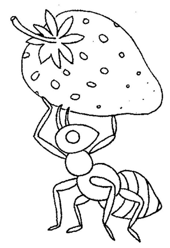 Cách vẽ con kiến đẹp cực kỳ dễ thương cho bé mẫu hình vẽ kiến  TRƯỜNG  THPT TRẦN HƯNG ĐẠO