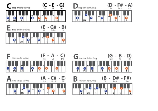 cách bấm hợp âm piano cho người mới bắt đầu hình ảnh 2