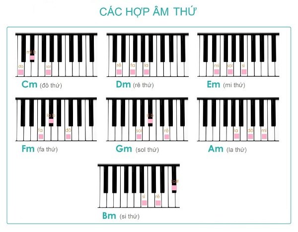 Lý thuyết nhạc lý cơ bản piano cho người mới bắt đầu hình ảnh 3