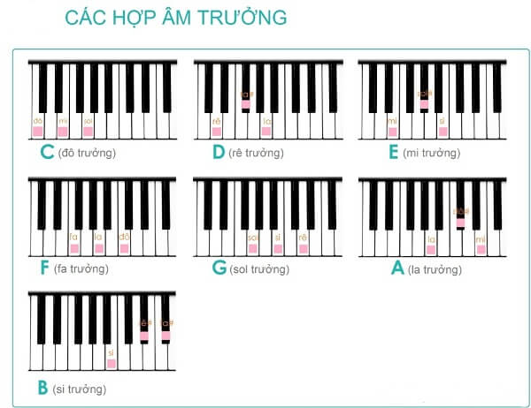 Lý thuyết nhạc lý cơ bản piano cho người mới bắt đầu hình ảnh 4