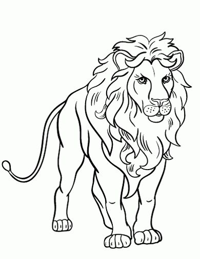 Top với hơn 64 về tô màu con sư tử hay nhất  trieuson5