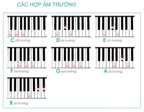 Các hợp âm cơ bản piano quen thuộc hình ảnh 3