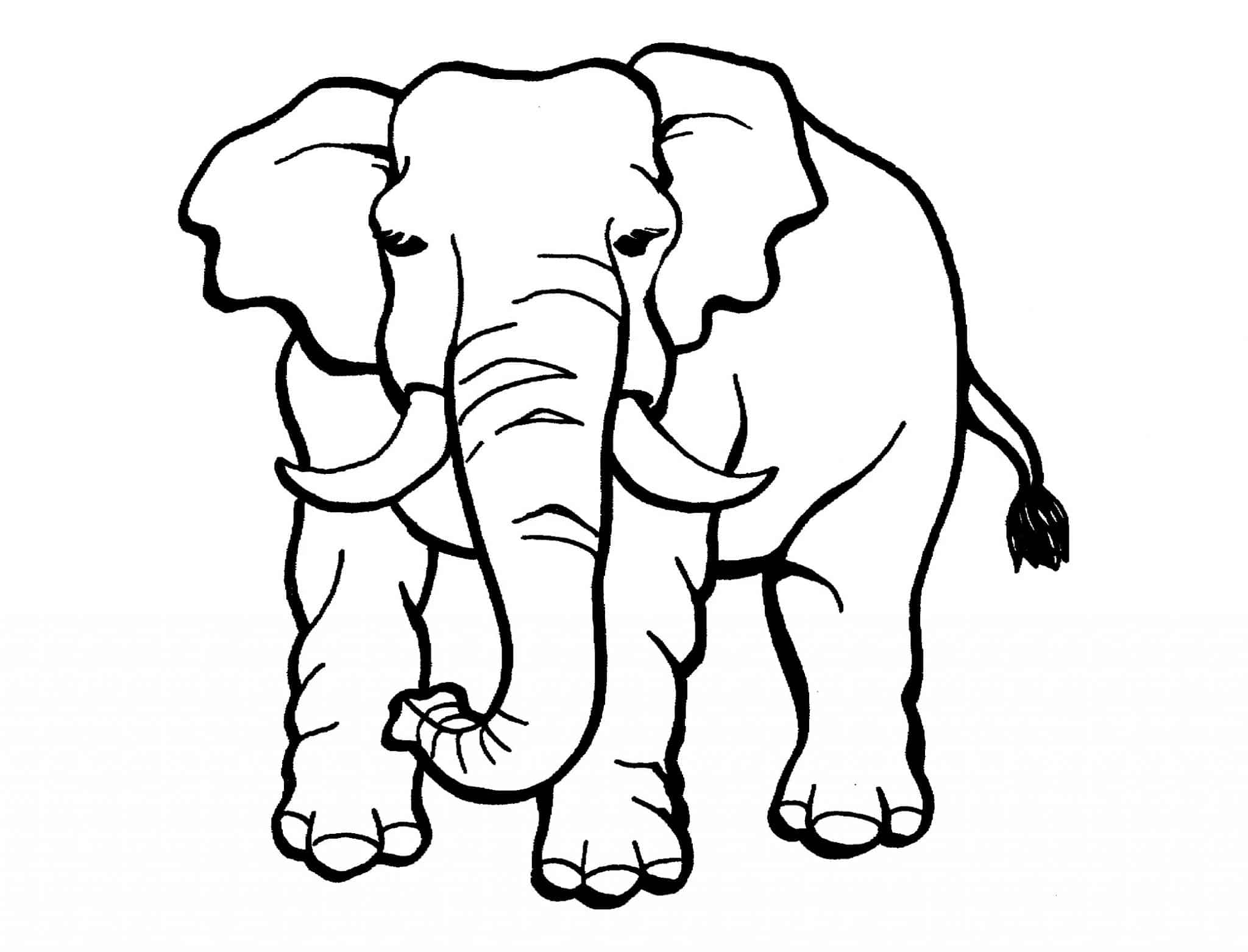 Vẽ Con Voi - Dạy bé vẽ và tô màu con Voi - How to Draw an Elephant Easy  -Duy Hiếu - YouTube