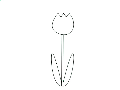 Hình vẽ kiểu vẽ nhành hoa rất đẹp 3 chiều 5 cánh giản dị và đơn giản nhất